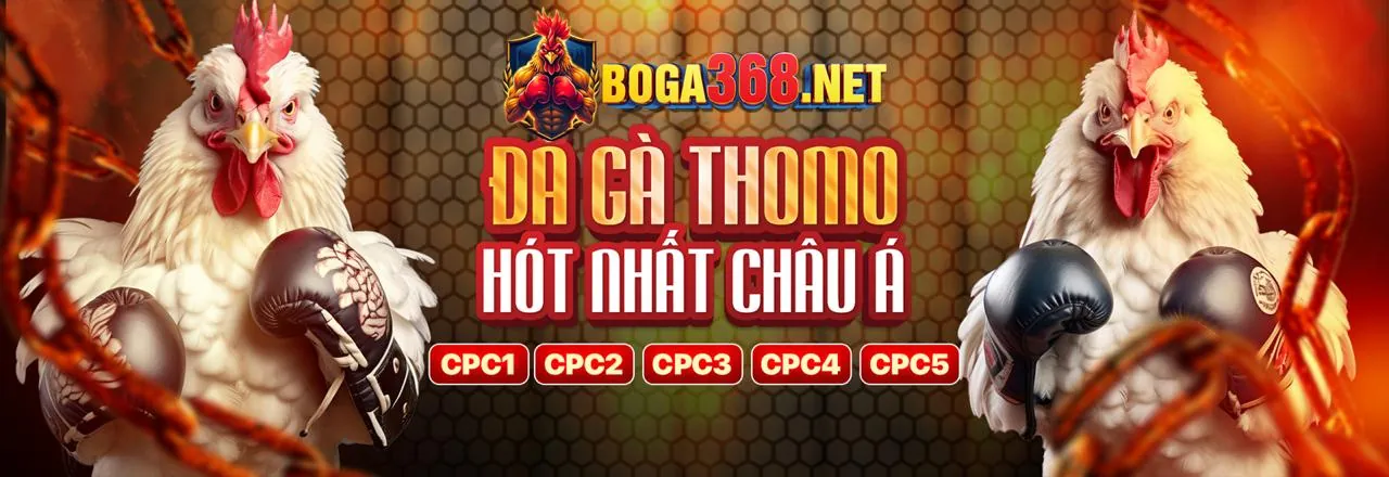 Quản lý vốn cá cược
