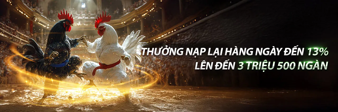 Sân vận động lớn với đèn sáng, thể hiện không khí cá cược thể thao sôi động tại kjc nhà cái